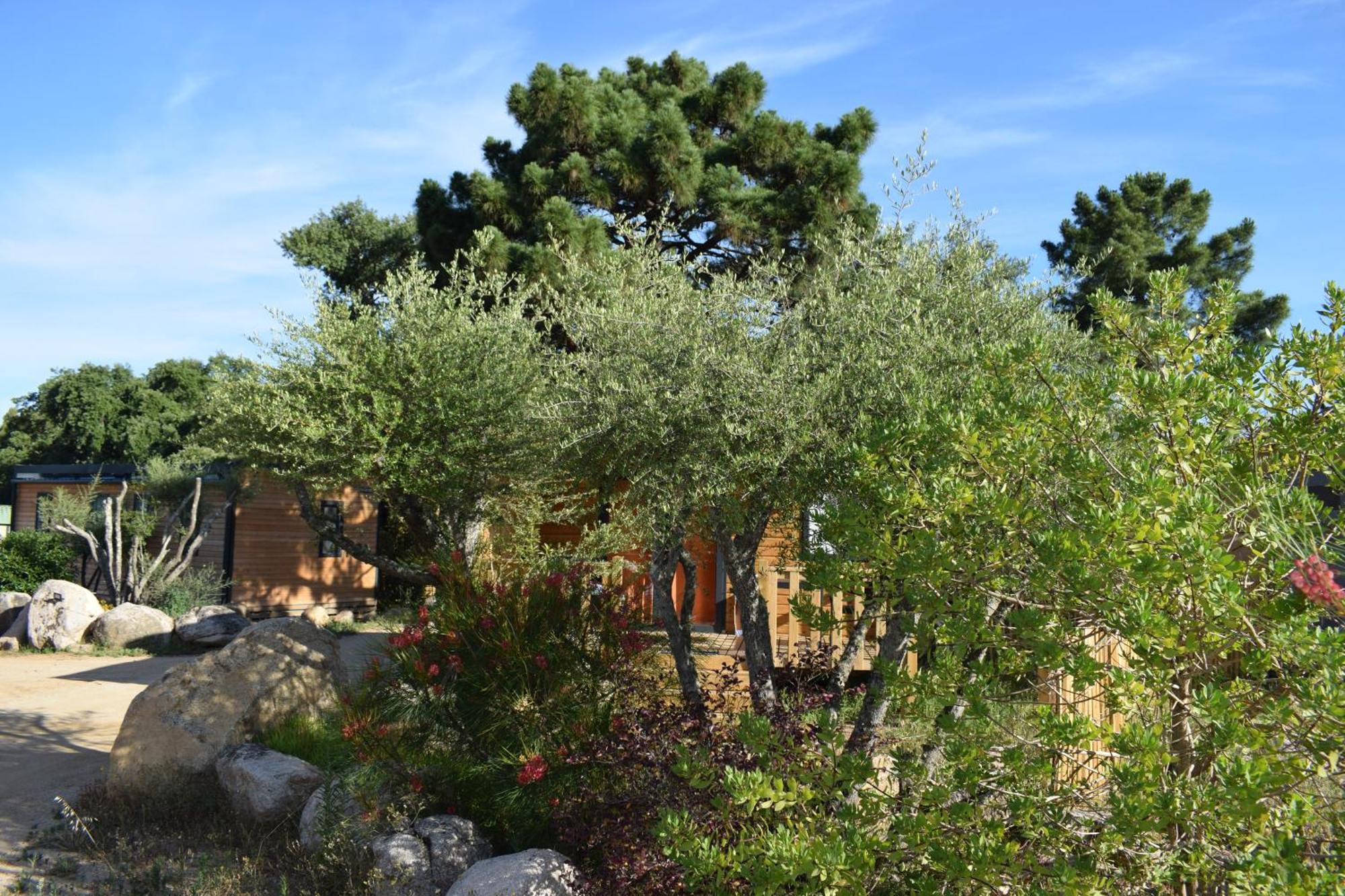 Chalet Petralegna
