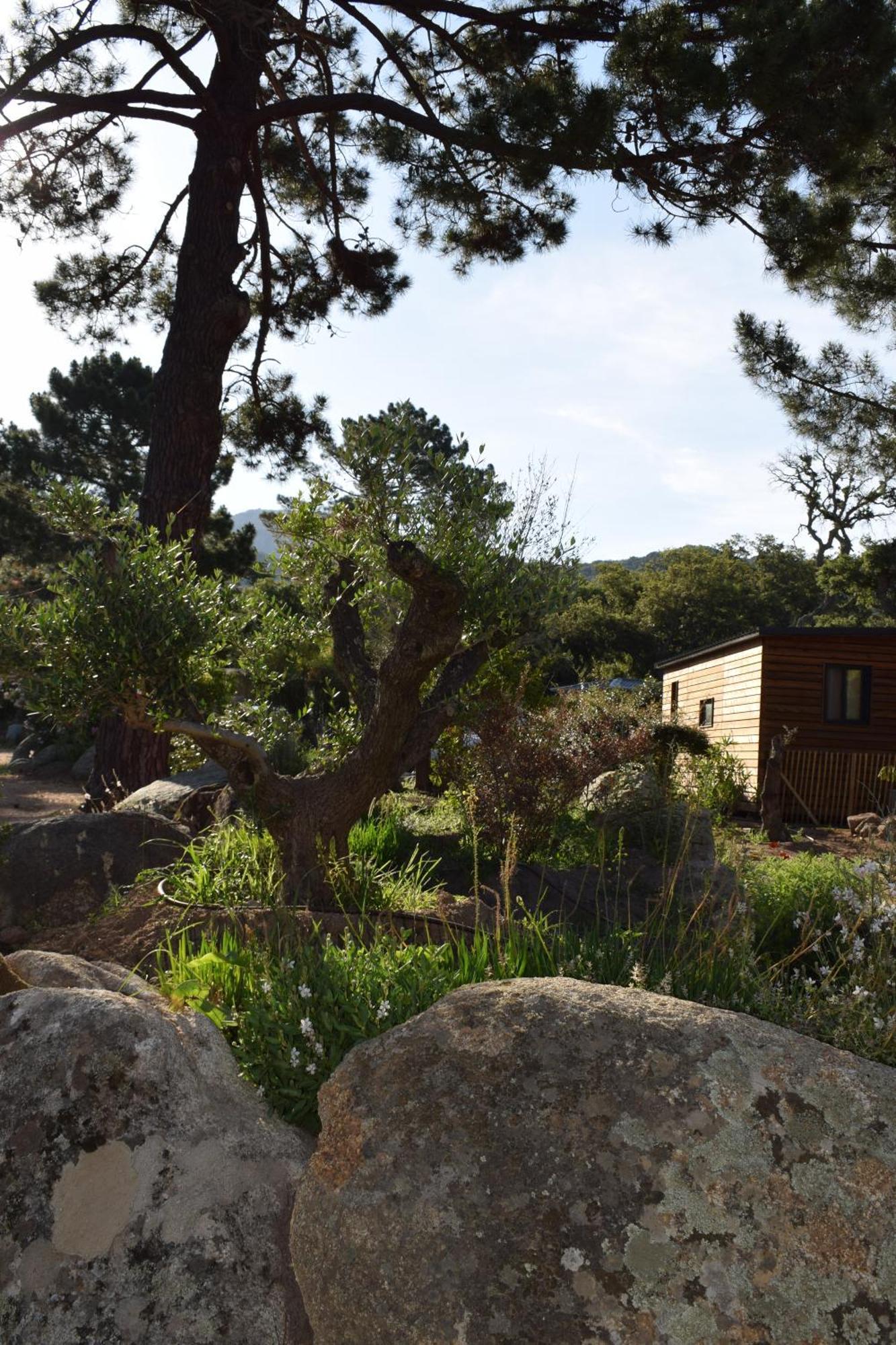 Chalet Petralegna *