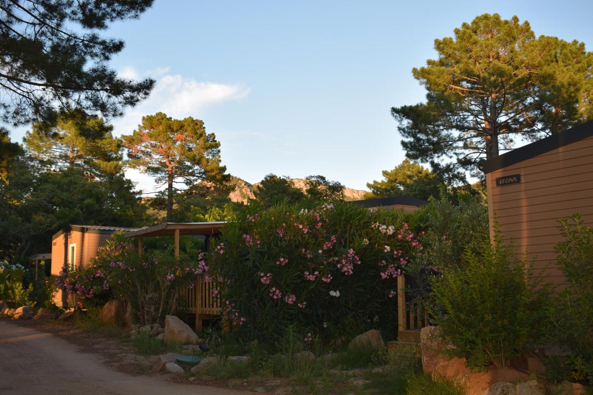 Chalé Petralegna Porto-Vecchio (Corsica)